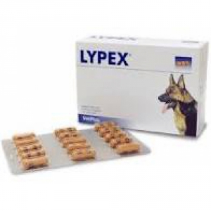 LYPEX 60 CAPSULE